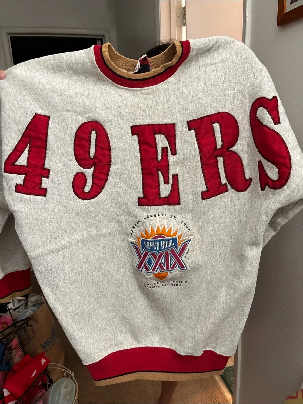 San Francisco 49ers Gray & Red Super Bowl XXIX Crewneck Sweatshirt Vintage